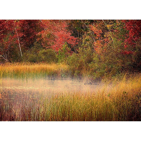 US-Michigan-Upper Peninsula Thornton Lake Black Modern Wood Framed Art Print by Eggers, Julie