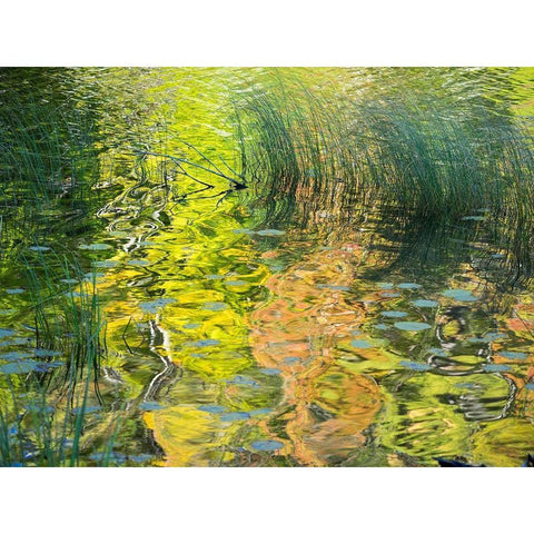 US-Michigan-Upper Peninsula Reflections of fall colors in Council Lake Black Modern Wood Framed Art Print by Eggers, Julie