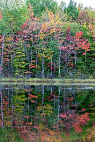 Thornton Lake in fall color-Alger County-Michigan Black Ornate Wood Framed Art Print with Double Matting by Day, Richard and Susan