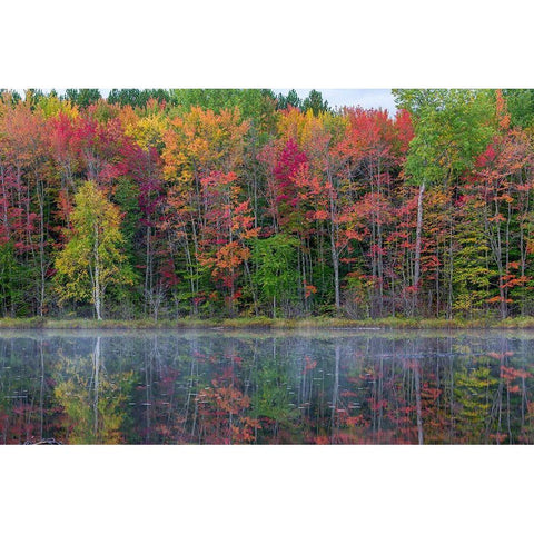 Thornton Lake in fall color-Alger County-Michigan White Modern Wood Framed Art Print by Day, Richard and Susan