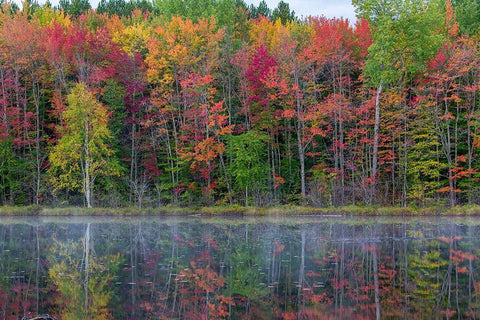 Thornton Lake in fall color-Alger County-Michigan Black Ornate Wood Framed Art Print with Double Matting by Day, Richard and Susan