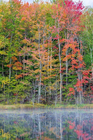 Thornton Lake in fall color-Alger County-Michigan Black Ornate Wood Framed Art Print with Double Matting by Day, Richard and Susan