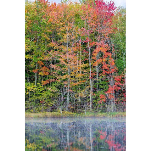 Thornton Lake in fall color-Alger County-Michigan Black Modern Wood Framed Art Print by Day, Richard and Susan
