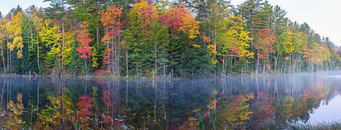 Council Lake in fall-Alger County-Michigan Black Ornate Wood Framed Art Print with Double Matting by Day, Richard and Susan