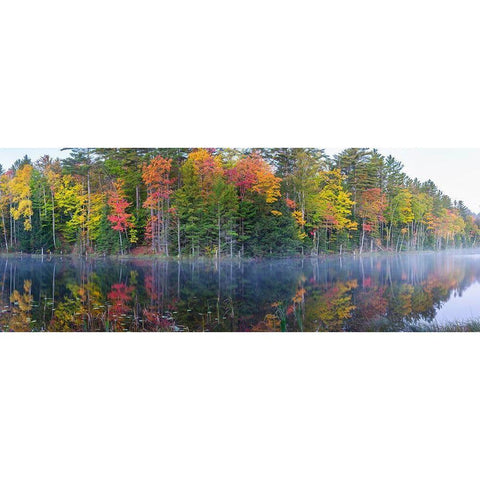 Council Lake in fall-Alger County-Michigan Black Modern Wood Framed Art Print by Day, Richard and Susan