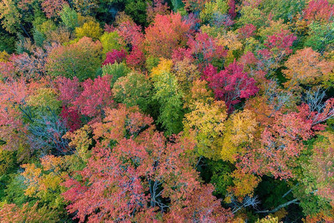 Aerial view of Hugoboom Lake in fall color-Alger County-Michigan White Modern Wood Framed Art Print with Double Matting by Day, Richard and Susan