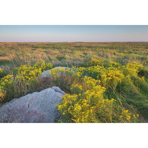Touch the Sky Prairie southwest-Minnesota Gold Ornate Wood Framed Art Print with Double Matting by Majchrowicz, Alan