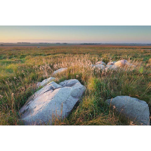 Boulders of quartzite in Touch the Sky Prairie-southwest-Minnesota Gold Ornate Wood Framed Art Print with Double Matting by Majchrowicz, Alan