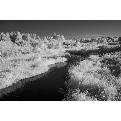USA-Minnesota-Mississippi River Headwaters region-Mississippi River Gold Ornate Wood Framed Art Print with Double Matting by Hawkins, Peter
