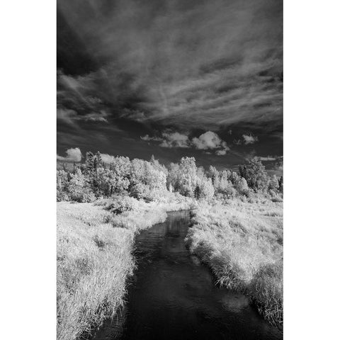 USA-Minnesota-Mississippi River Headwaters region-Mississippi River Black Modern Wood Framed Art Print by Hawkins, Peter