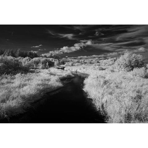 USA-Minnesota-Mississippi River Headwaters region-Mississippi River Black Modern Wood Framed Art Print by Hawkins, Peter