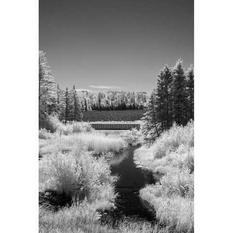 USA-Minnesota-La Salle State Recreation Area Black Modern Wood Framed Art Print by Hawkins, Peter