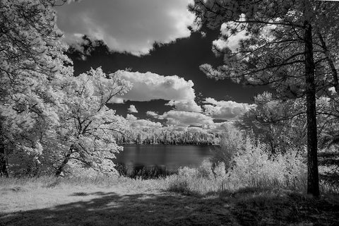 USA-Minnesota-La Salle State Recreation area White Modern Wood Framed Art Print with Double Matting by Hawkins, Peter
