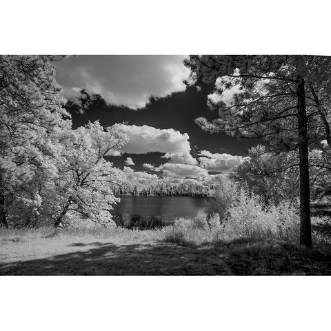 USA-Minnesota-La Salle State Recreation area Black Modern Wood Framed Art Print by Hawkins, Peter