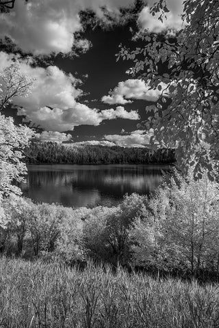 USA-Minnesota-La Salle State Recreation area White Modern Wood Framed Art Print with Double Matting by Hawkins, Peter