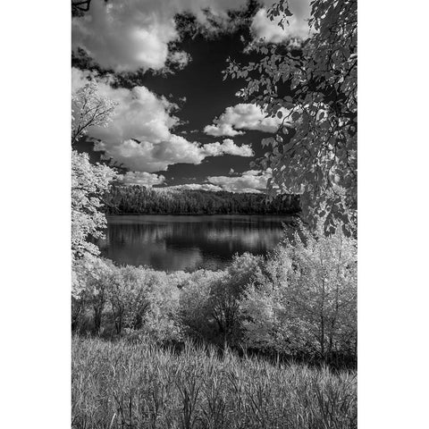 USA-Minnesota-La Salle State Recreation area White Modern Wood Framed Art Print by Hawkins, Peter