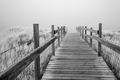 USA-Minnesota-Duluth-Park Point-Boardwalk over Dunes White Modern Wood Framed Art Print with Double Matting by Hawkins, Peter