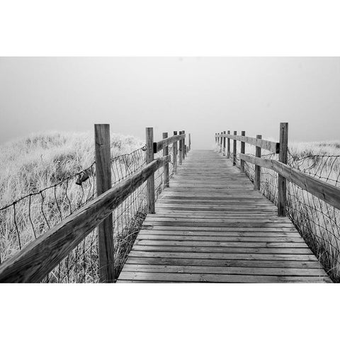 USA-Minnesota-Duluth-Park Point-Boardwalk over Dunes Gold Ornate Wood Framed Art Print with Double Matting by Hawkins, Peter