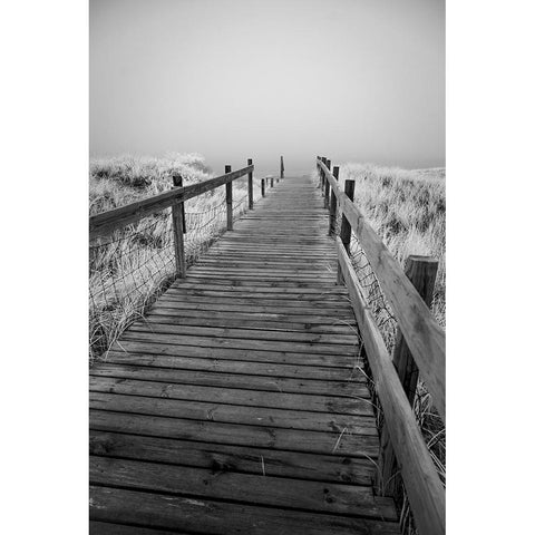USA-Minnesota-Duluth-Park Point-Boardwalk over Dunes Gold Ornate Wood Framed Art Print with Double Matting by Hawkins, Peter