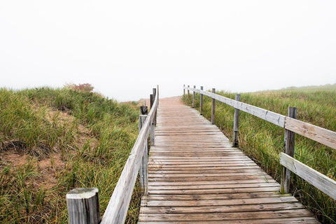 USA-Minnesota-Duluth-Park Point-Boardwalk over Dunes White Modern Wood Framed Art Print with Double Matting by Hawkins, Peter