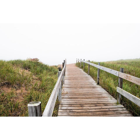 USA-Minnesota-Duluth-Park Point-Boardwalk over Dunes Black Modern Wood Framed Art Print by Hawkins, Peter