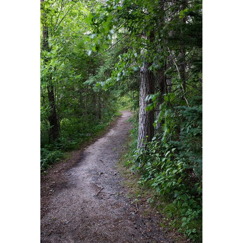 USA-Minnesota-La Salle State Recreation Area Black Modern Wood Framed Art Print with Double Matting by Hawkins, Peter