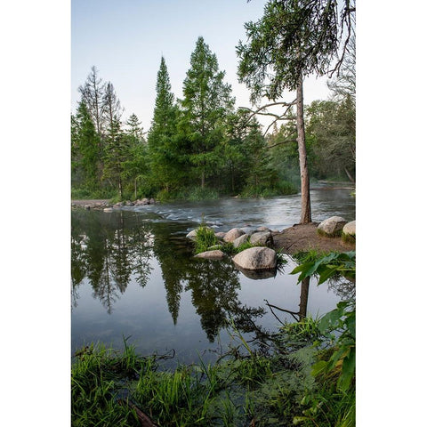 USA-Minnesota-Itasca State Park-Mississippi Headwaters Gold Ornate Wood Framed Art Print with Double Matting by Hawkins, Peter