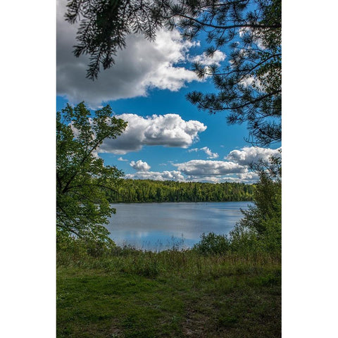USA-Minnesota-La Salle State Recreation area Black Modern Wood Framed Art Print with Double Matting by Hawkins, Peter