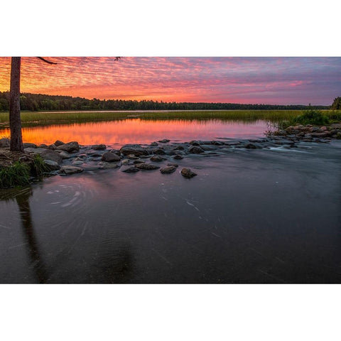 USA-Minnesota-Itasca State Park-Mississippi Headwaters Black Modern Wood Framed Art Print by Hawkins, Peter