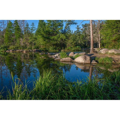 USA-Minnesota-Itasca State Park-Mississippi Headwaters Black Modern Wood Framed Art Print by Hawkins, Peter