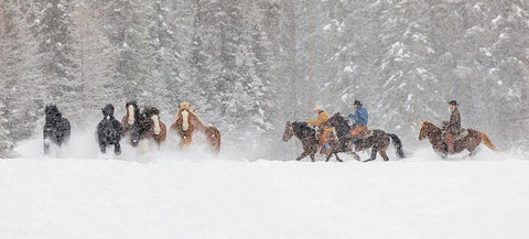 Panoramic view of cowboys during winter roundup-Kalispell-Montana White Modern Wood Framed Art Print with Double Matting by Jones, Adam