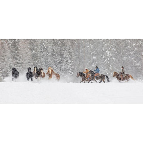 Panoramic view of cowboys during winter roundup-Kalispell-Montana Black Modern Wood Framed Art Print by Jones, Adam