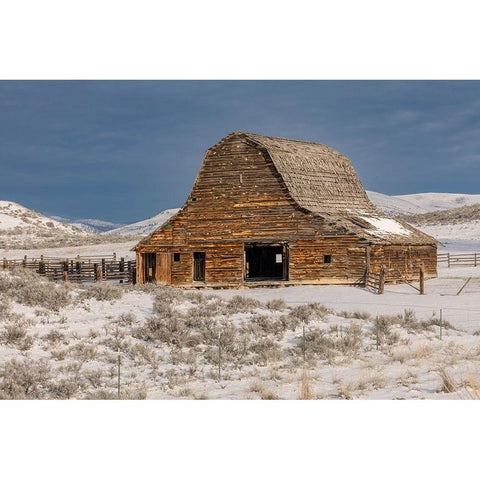 Barn in winter-Montana Black Modern Wood Framed Art Print by Jones, Adam