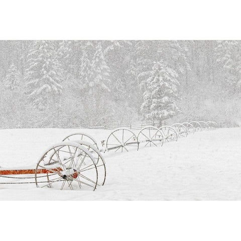 Irrigation sprinkler system in winter snowstorm-Kalispell-Montana Gold Ornate Wood Framed Art Print with Double Matting by Jones, Adam