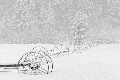 Irrigation sprinkler system in winter snowstorm-Kalispell-Montana White Modern Wood Framed Art Print with Double Matting by Jones, Adam