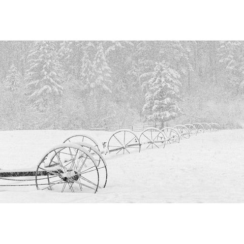 Irrigation sprinkler system in winter snowstorm-Kalispell-Montana Black Modern Wood Framed Art Print by Jones, Adam