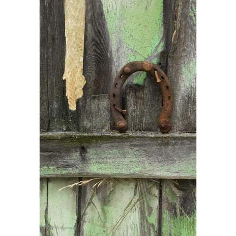 Montana Horseshoe on old fence of a homestead Black Modern Wood Framed Art Print by Rotenberg, Nancy