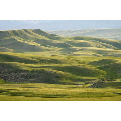 MT, Rocky Mt, Green hills east of Great Falls Black Modern Wood Framed Art Print with Double Matting by Paulson, Don