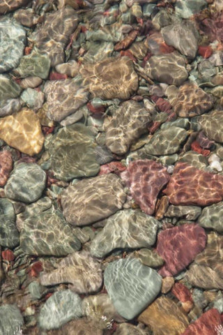 MT, Glacier NP Stones line shore on St Mary Lake Black Ornate Wood Framed Art Print with Double Matting by Grall, Don