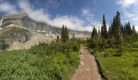 Montana, Glacier NP Hiking trail and landscape Black Ornate Wood Framed Art Print with Double Matting by Grall, Don