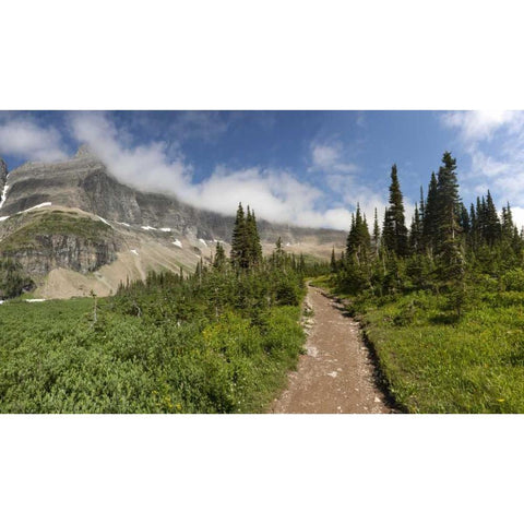 Montana, Glacier NP Hiking trail and landscape Black Modern Wood Framed Art Print by Grall, Don