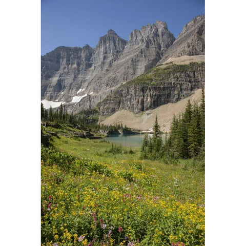Montana, Glacier NP Meadow above Iceberg Lake Black Modern Wood Framed Art Print by Grall, Don