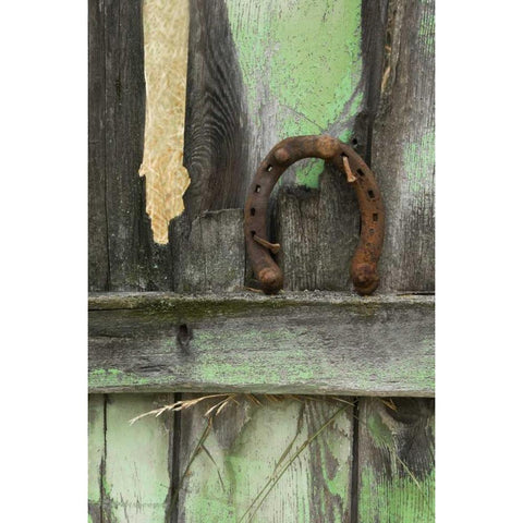 USA, Montana Rusty horseshoe on old fence Black Modern Wood Framed Art Print by Rotenberg, Nancy