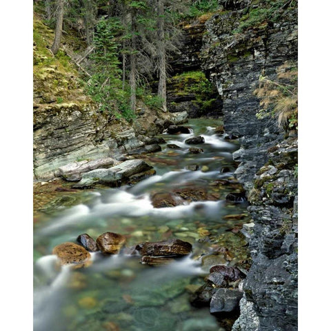 USA, Montana, Glacier NP Stream in Sunrift Gorge Gold Ornate Wood Framed Art Print with Double Matting by Terrill, Steve