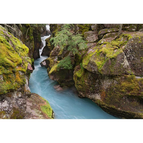 USA-Montana-Glacier National Park Glacial silt in Avalanche Creek flows through gorge Black Modern Wood Framed Art Print by Jaynes Gallery