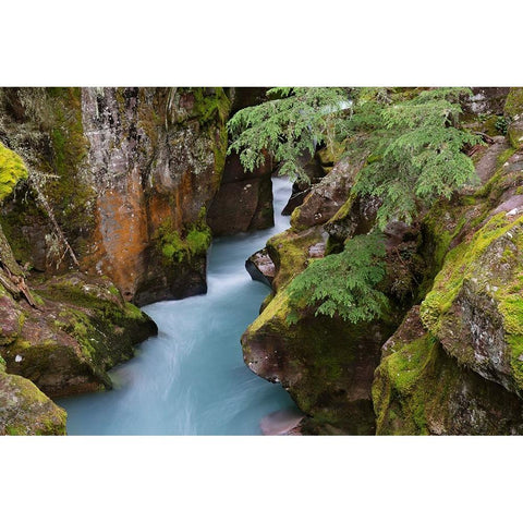 USA-Montana-Glacier National Park Glacial silt in Avalanche Creek flows through gorge Black Modern Wood Framed Art Print by Jaynes Gallery