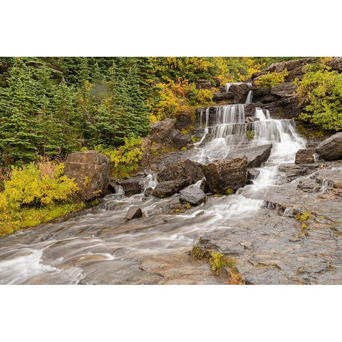 USA-Montana-Glacier National Park Lunch Creek cascades scenic Black Modern Wood Framed Art Print by Jaynes Gallery