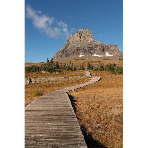USA-Montana-Glacier National Park Boardwalk towards Clements Mountain Black Modern Wood Framed Art Print by Jaynes Gallery
