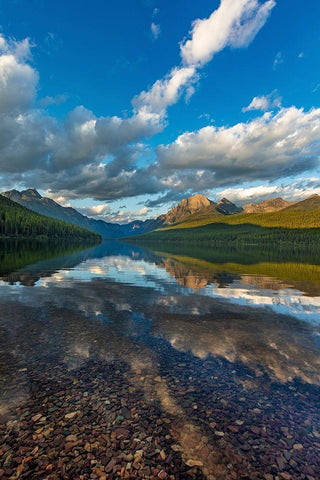 Late afternoon at Bowman Lake in Glacier National Park-Montana-USA Black Ornate Wood Framed Art Print with Double Matting by Haney, Chuck