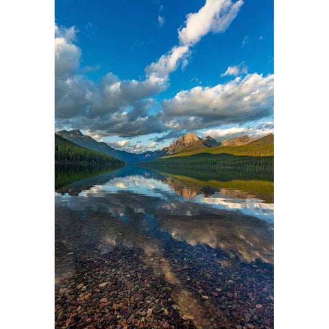 Late afternoon at Bowman Lake in Glacier National Park-Montana-USA Black Modern Wood Framed Art Print by Haney, Chuck